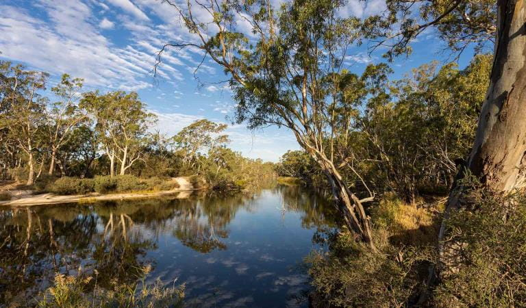 wimmera-river-3ackle-bend-little-desert-national-park-1920×1124-1